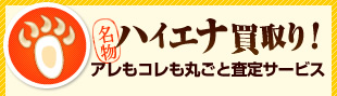 名物！ハイエナ買取！アレもコレも丸ごと査定サービス